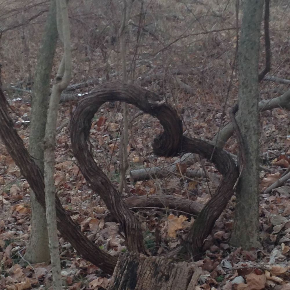 Meet your Posher, Dione